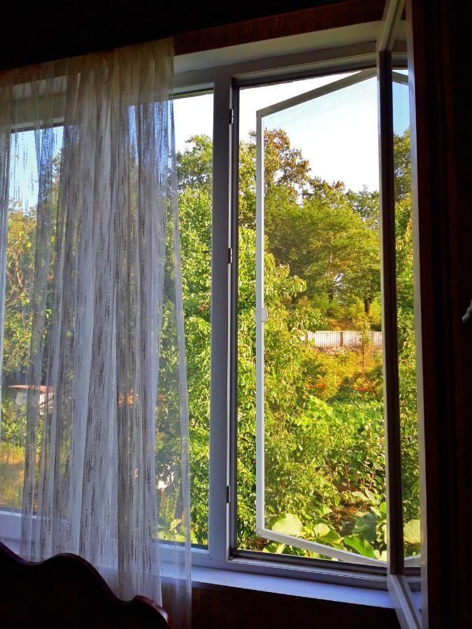 Vaso'S Guesthouse Katskhi ภายนอก รูปภาพ