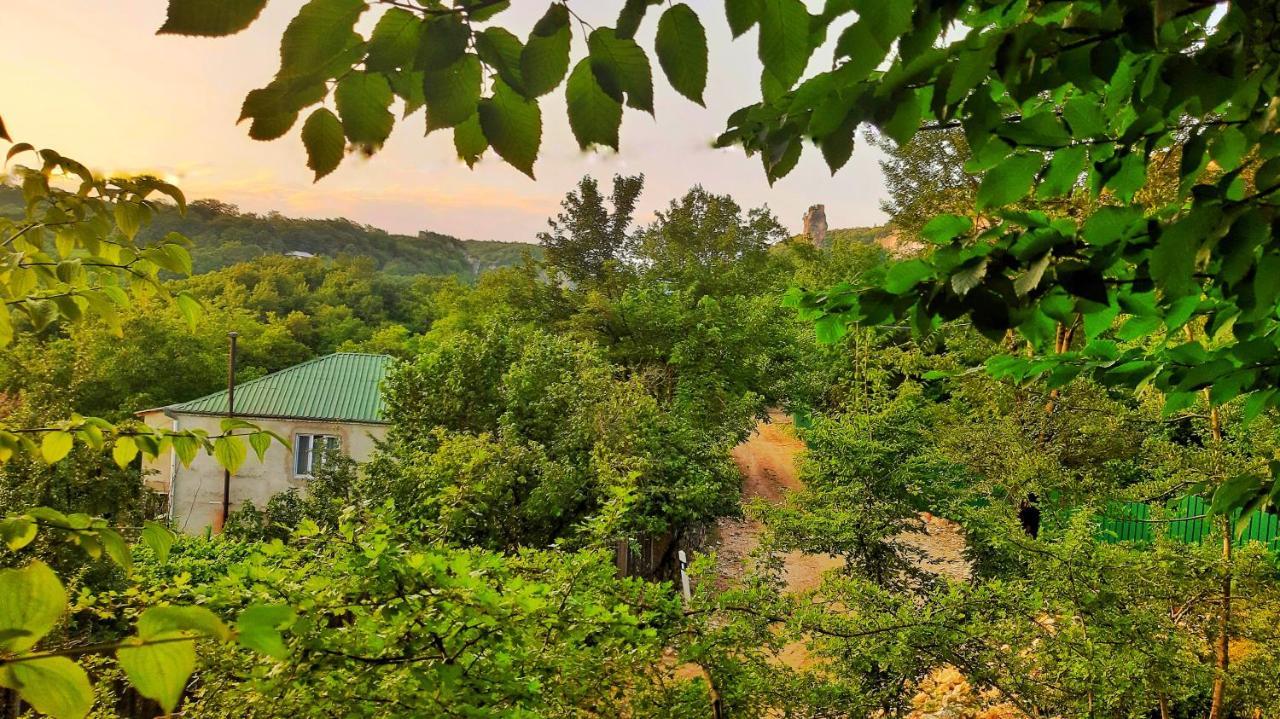 Vaso'S Guesthouse Katskhi ภายนอก รูปภาพ